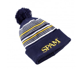 Striped SPAM® Brand Stocking Hat 