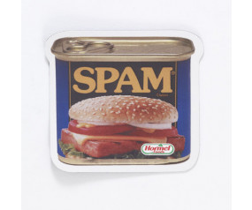 SPAM® Can Magnet